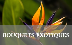 Fleurs Exotiques