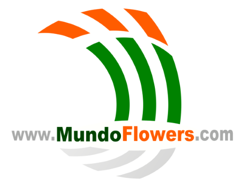 Mundo Flowers