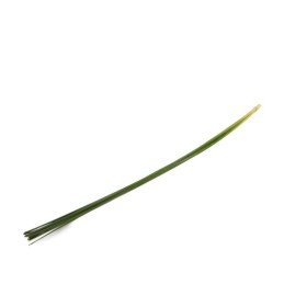 FLEXI GRASS